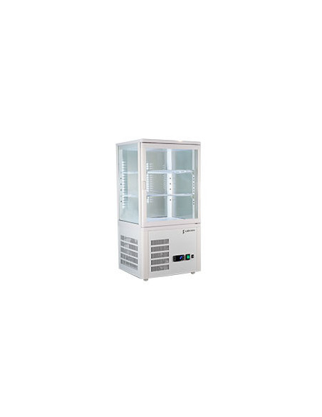 VITRINA EXPOSITORA VIVES-5 HC